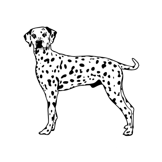Wandtattoo Dalmatiner