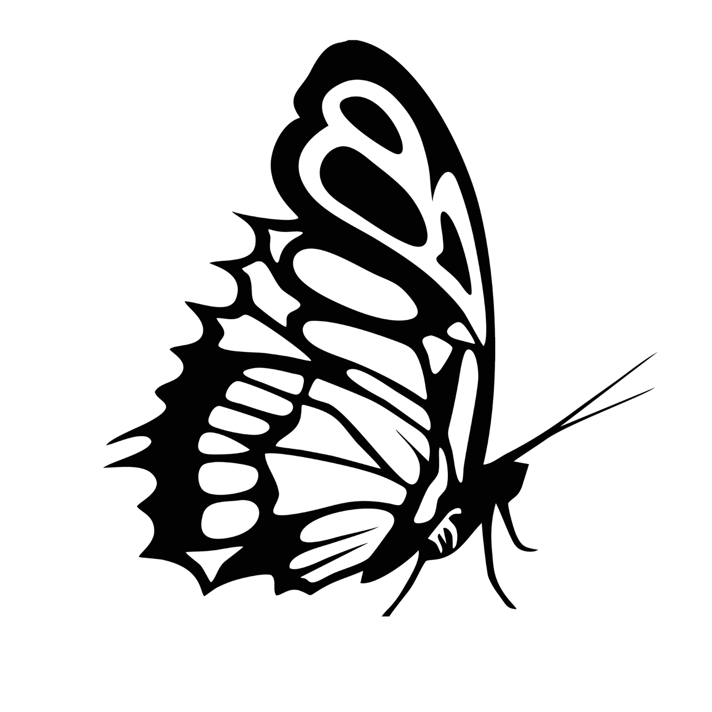 Autoaufkleber Schmetterling