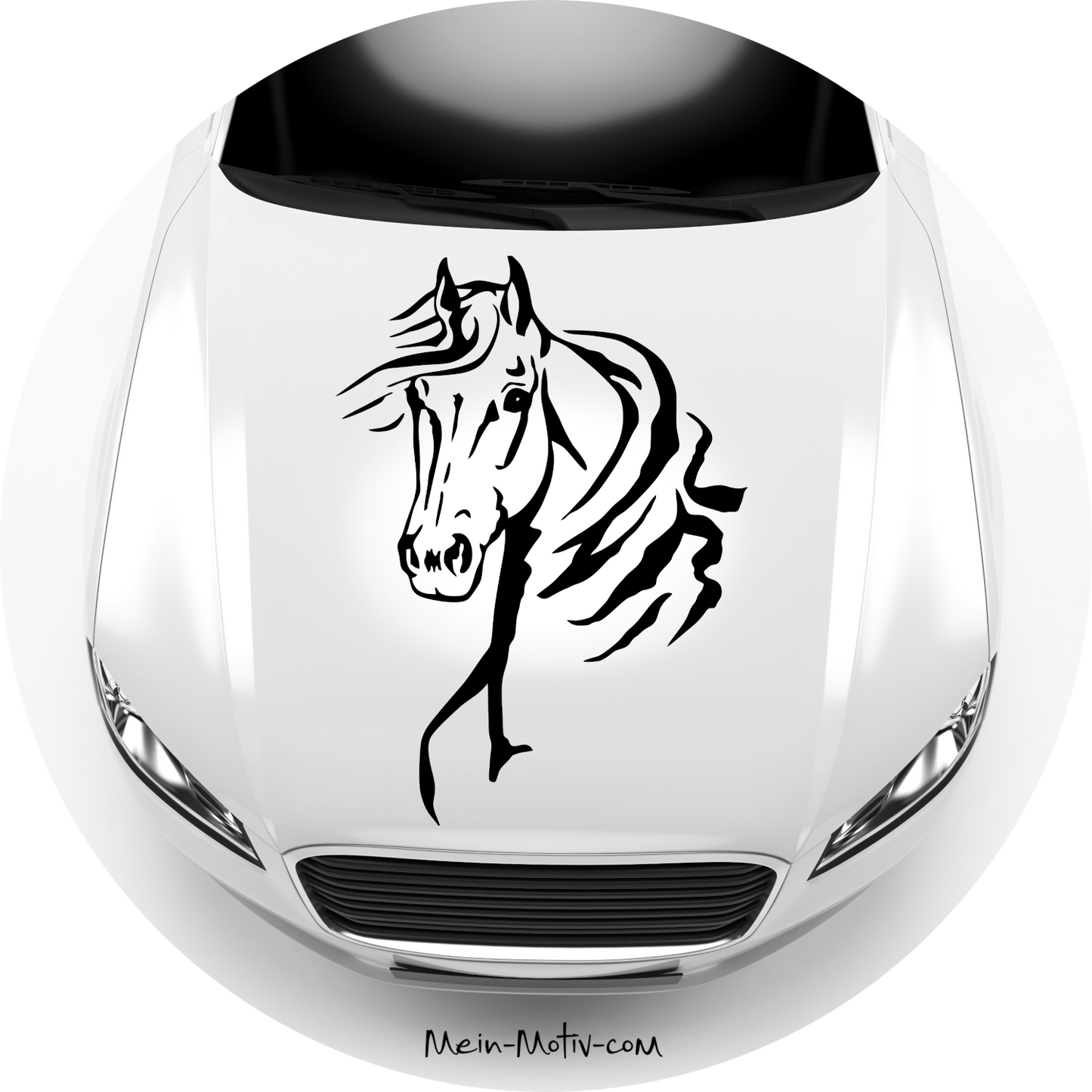 Autoaufkleber Pferd im Wind