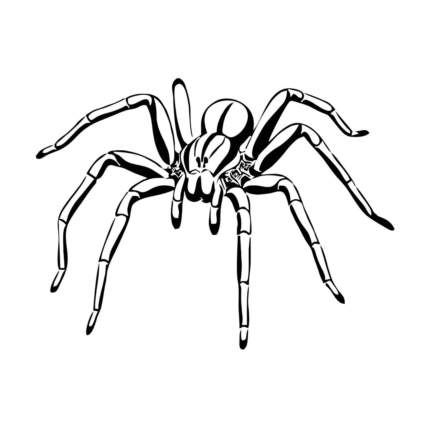 Autoaufkleber Spinne