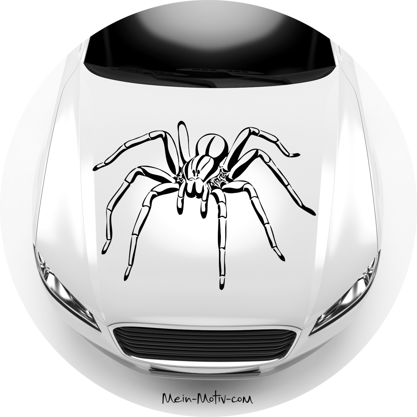 Autoaufkleber Spinne