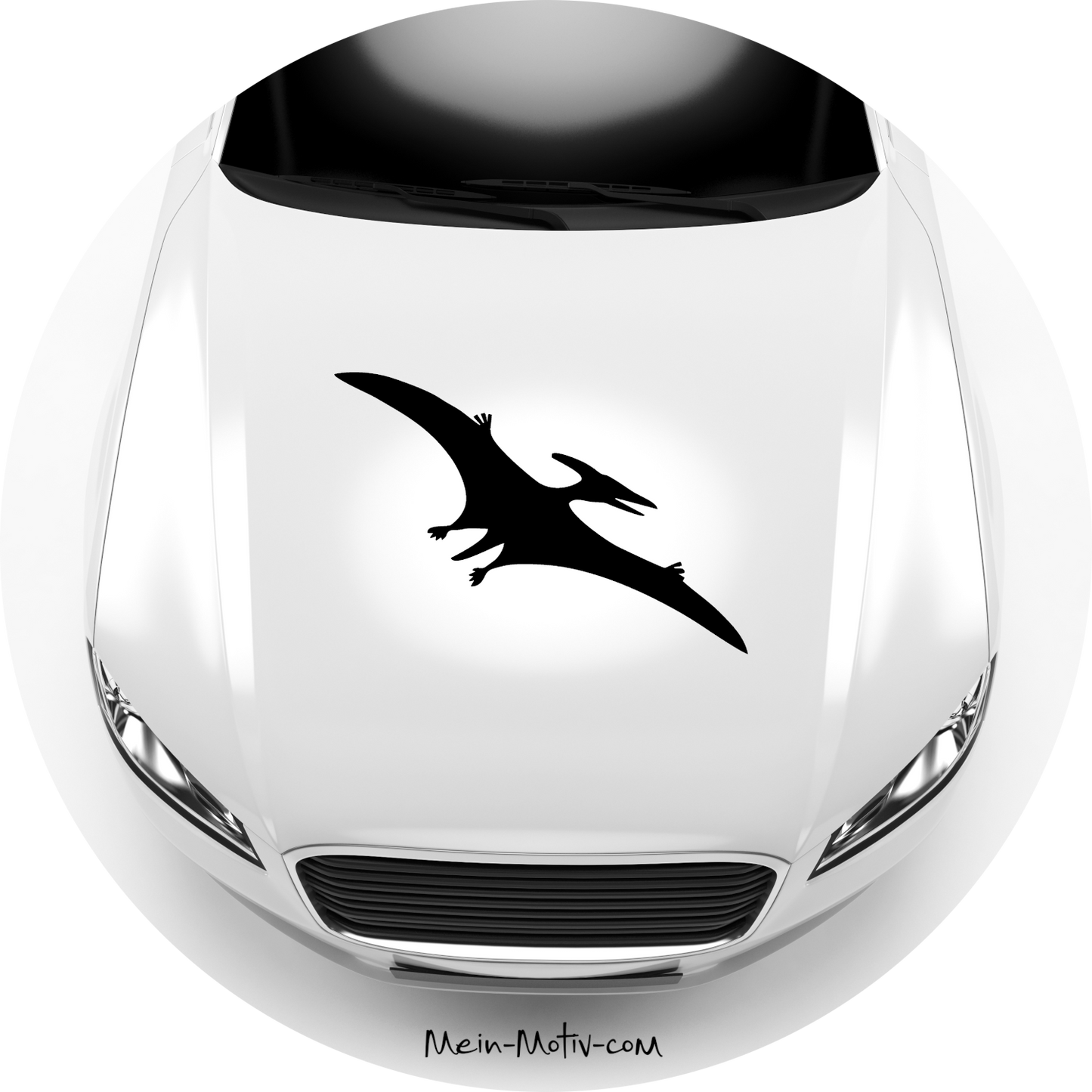 Autoaufkleber Flugsaurier-Pterosaurier