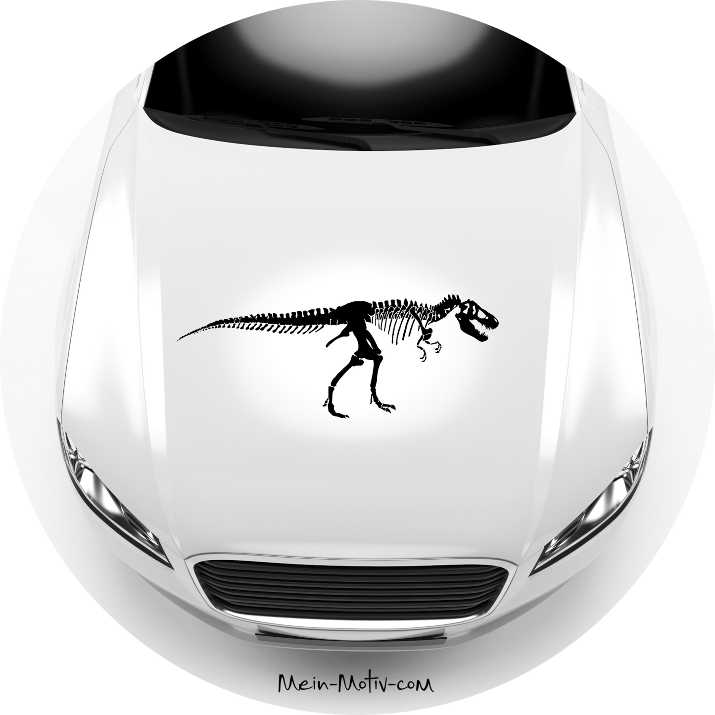 Autoaufkleber T-Rex Skelett