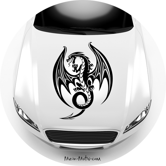 Autoaufkleber Drachenmädchen