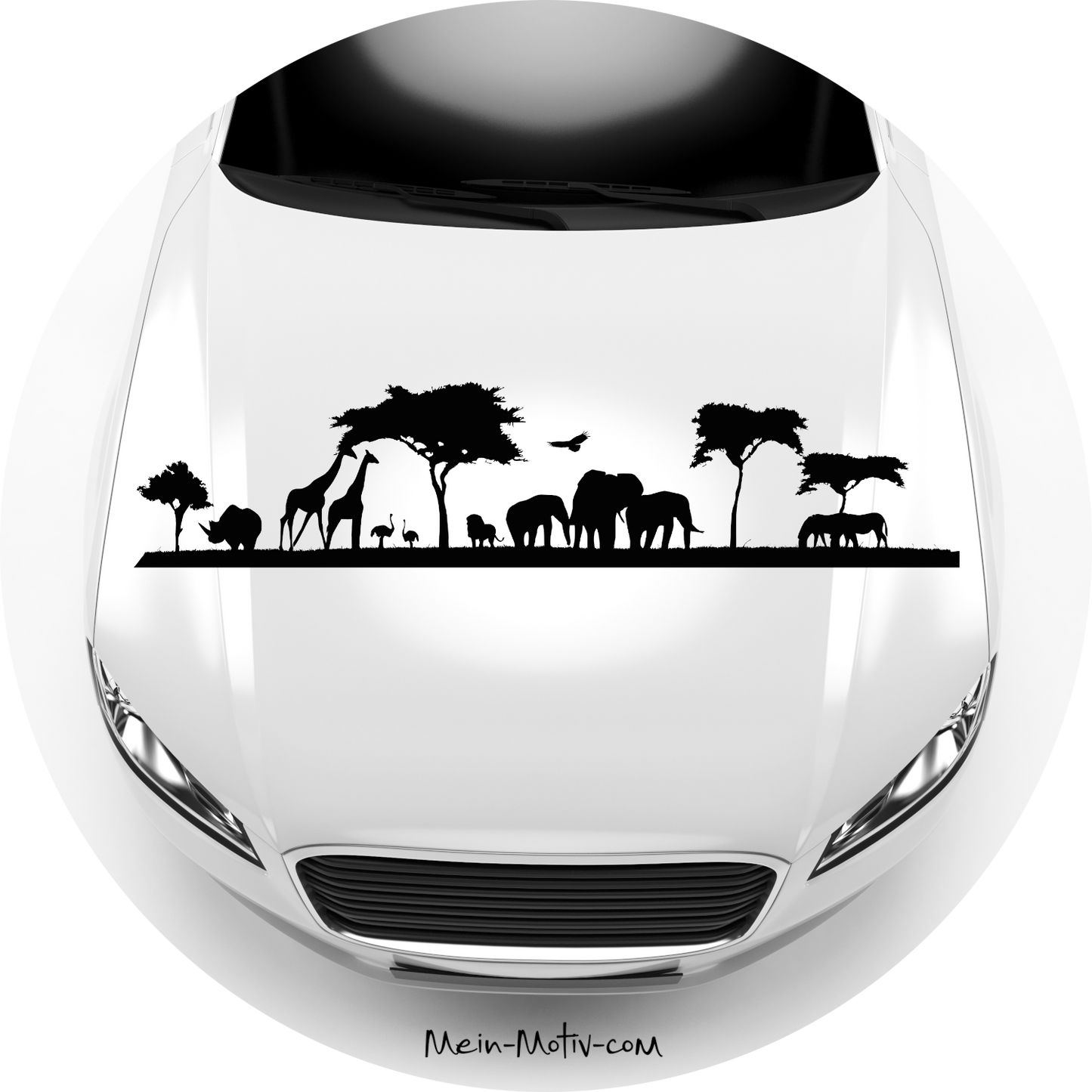 Autoaufkleber Afrika Savanne