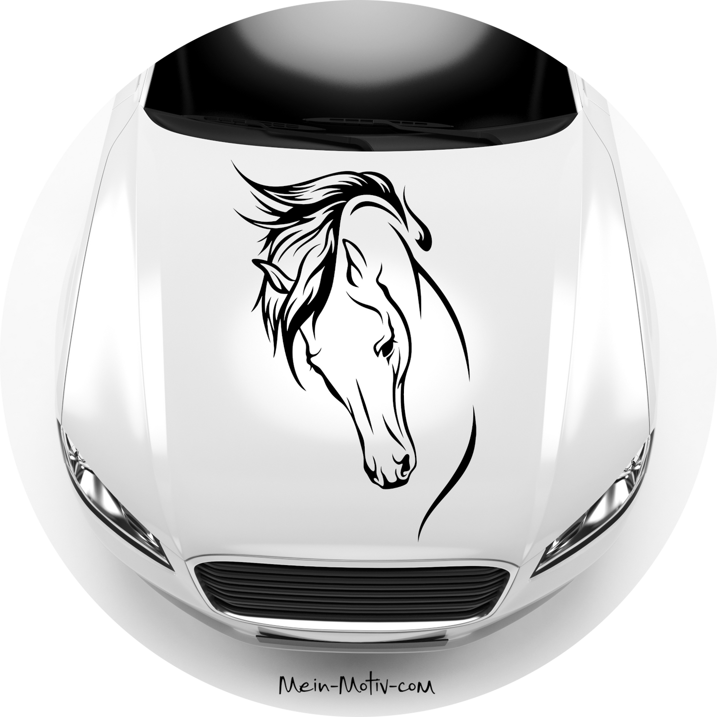 Autoaufkleber Pferd