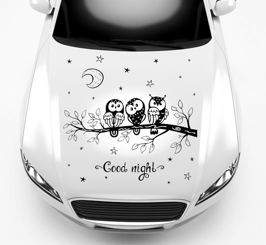 Autoaufkleber Gute Nacht Eulen