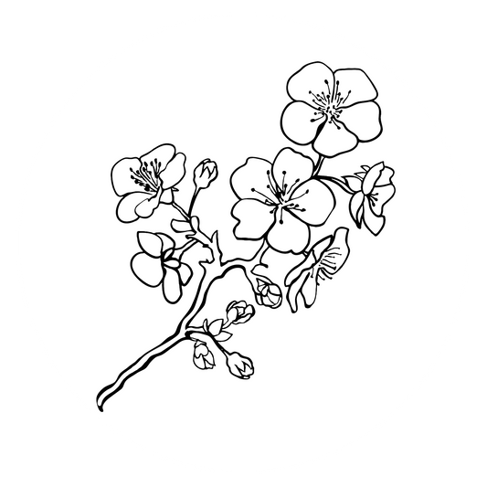 Wandtattoo Kirschblütenzweig