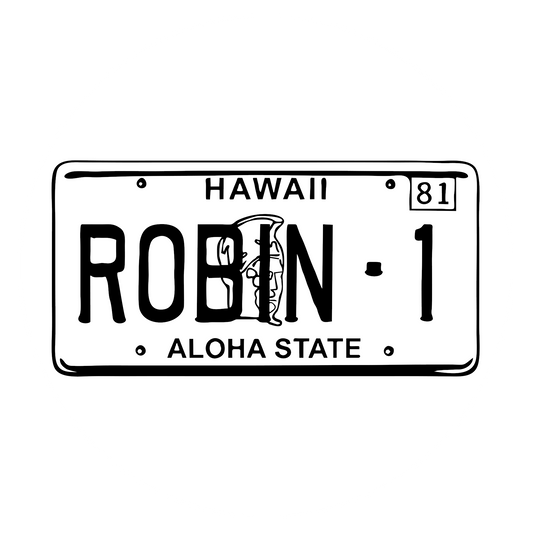 Wandtattoo Magnum - Robin1 Nummernschild