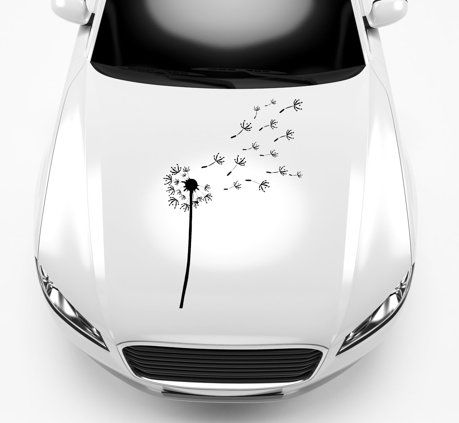 Autoaufkleber Pusteblume