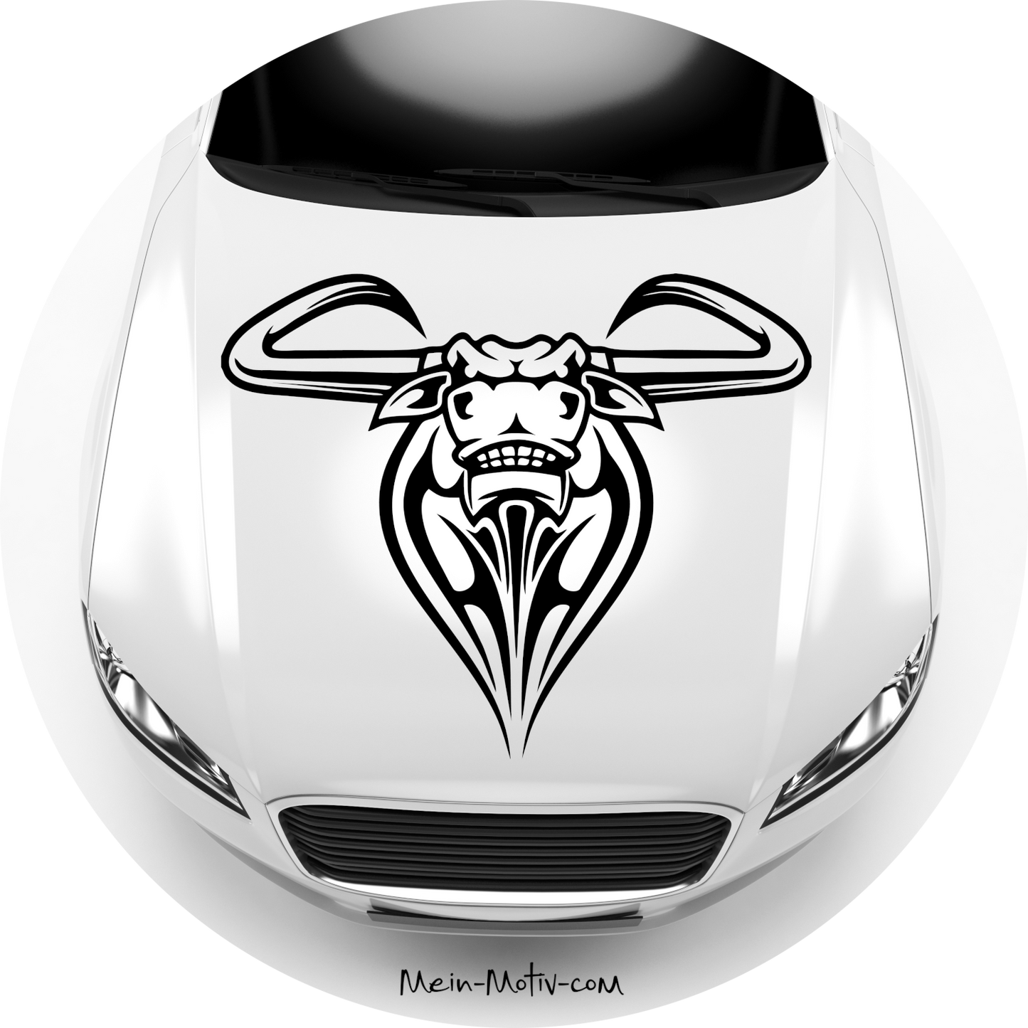 Autoaufkleber Texas Longhorn Rind