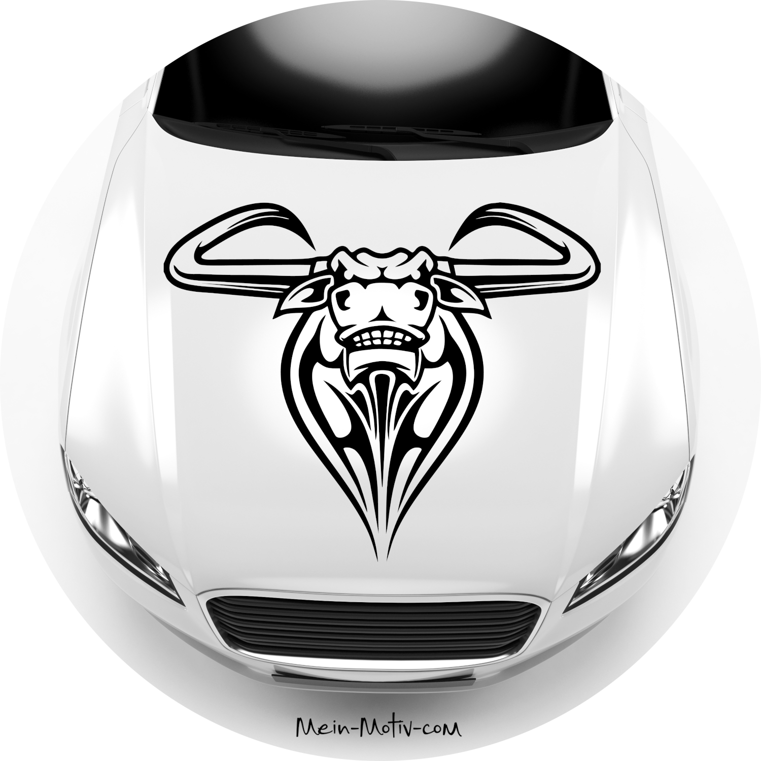 Autoaufkleber Texas Longhorn Rind