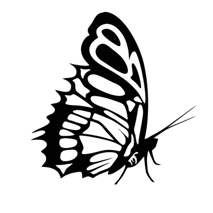 Autoaufkleber Schmetterling