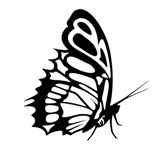 Wandtattoo Schmetterling