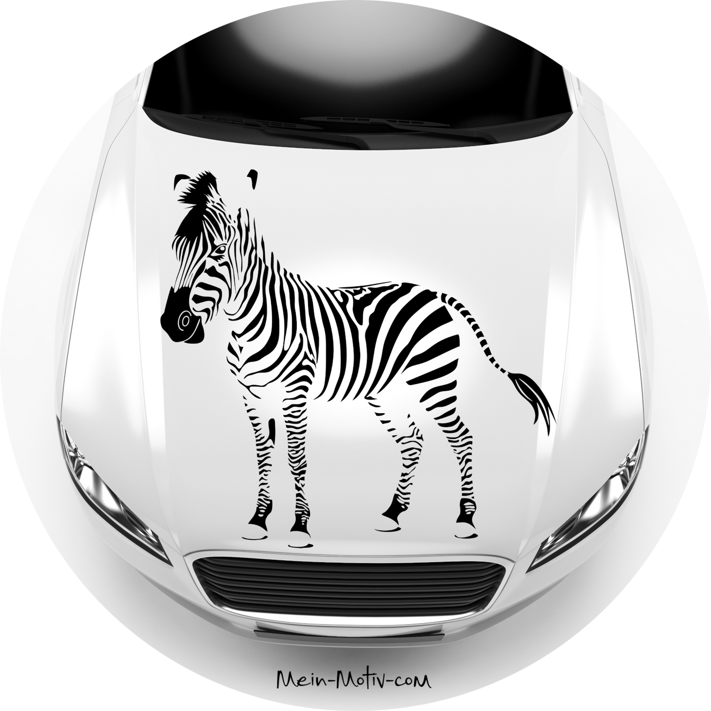 Autoaufkleber Zebra