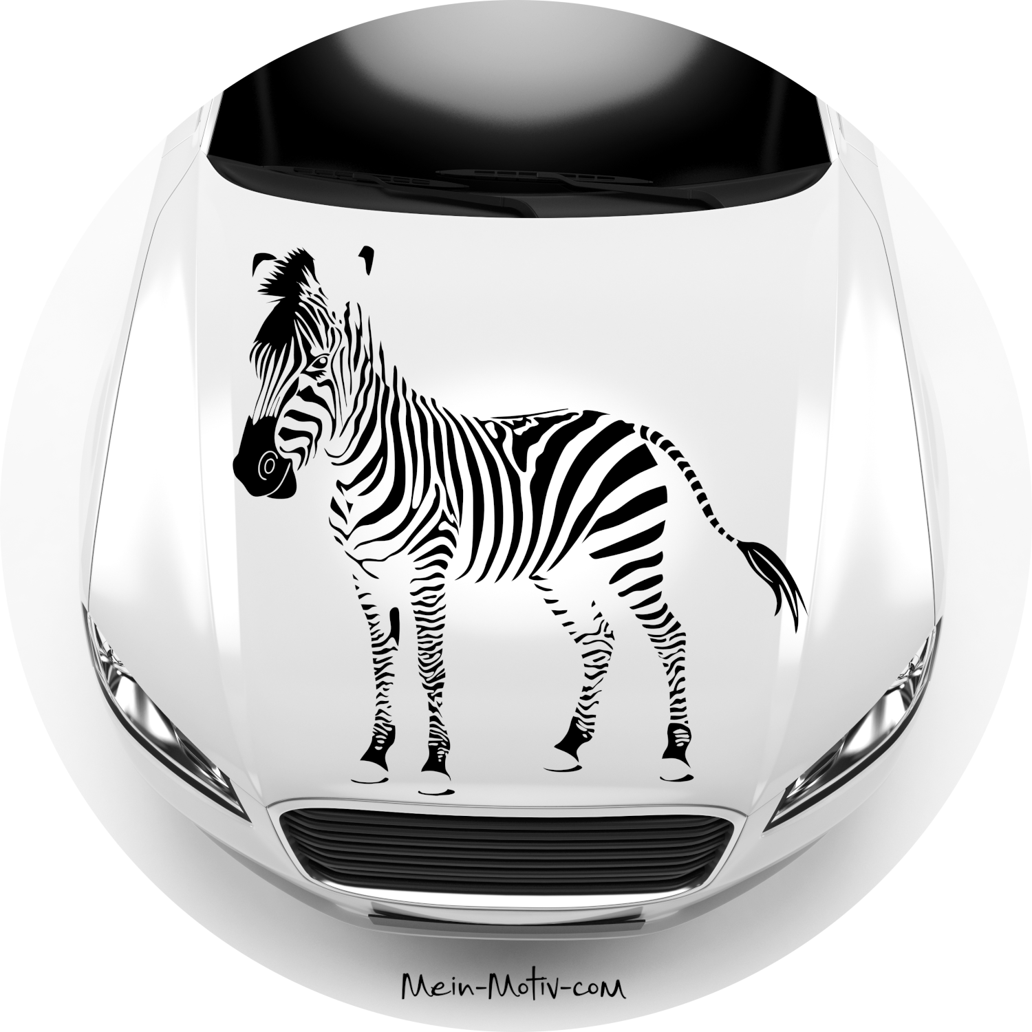 Autoaufkleber Zebra