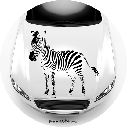 Autoaufkleber Zebra