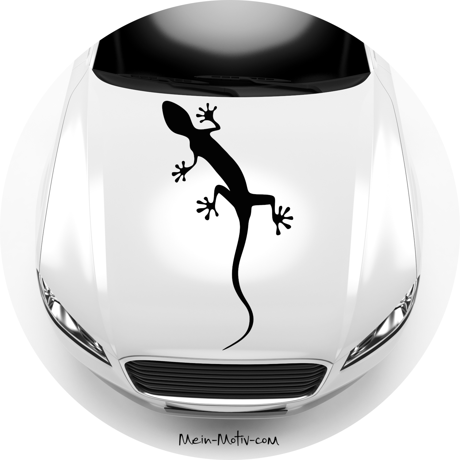 Autoaufkleber Gecko