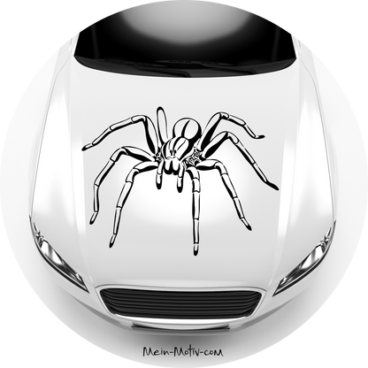 Autoaufkleber Spinne