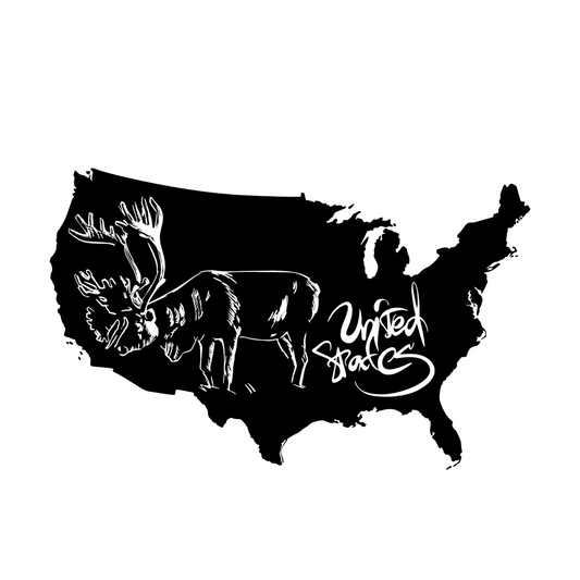 Autoaufkleber United States