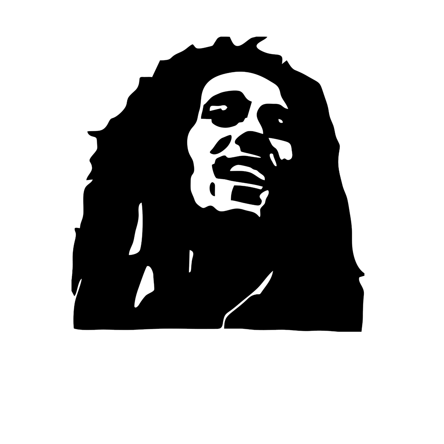 Autoaufkleber Bob Marley