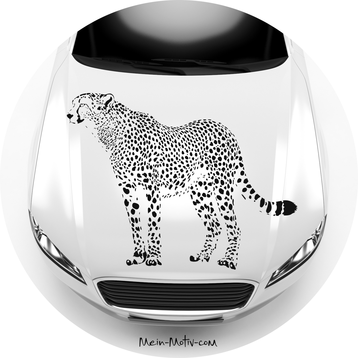 Autoaufkleber Gepard