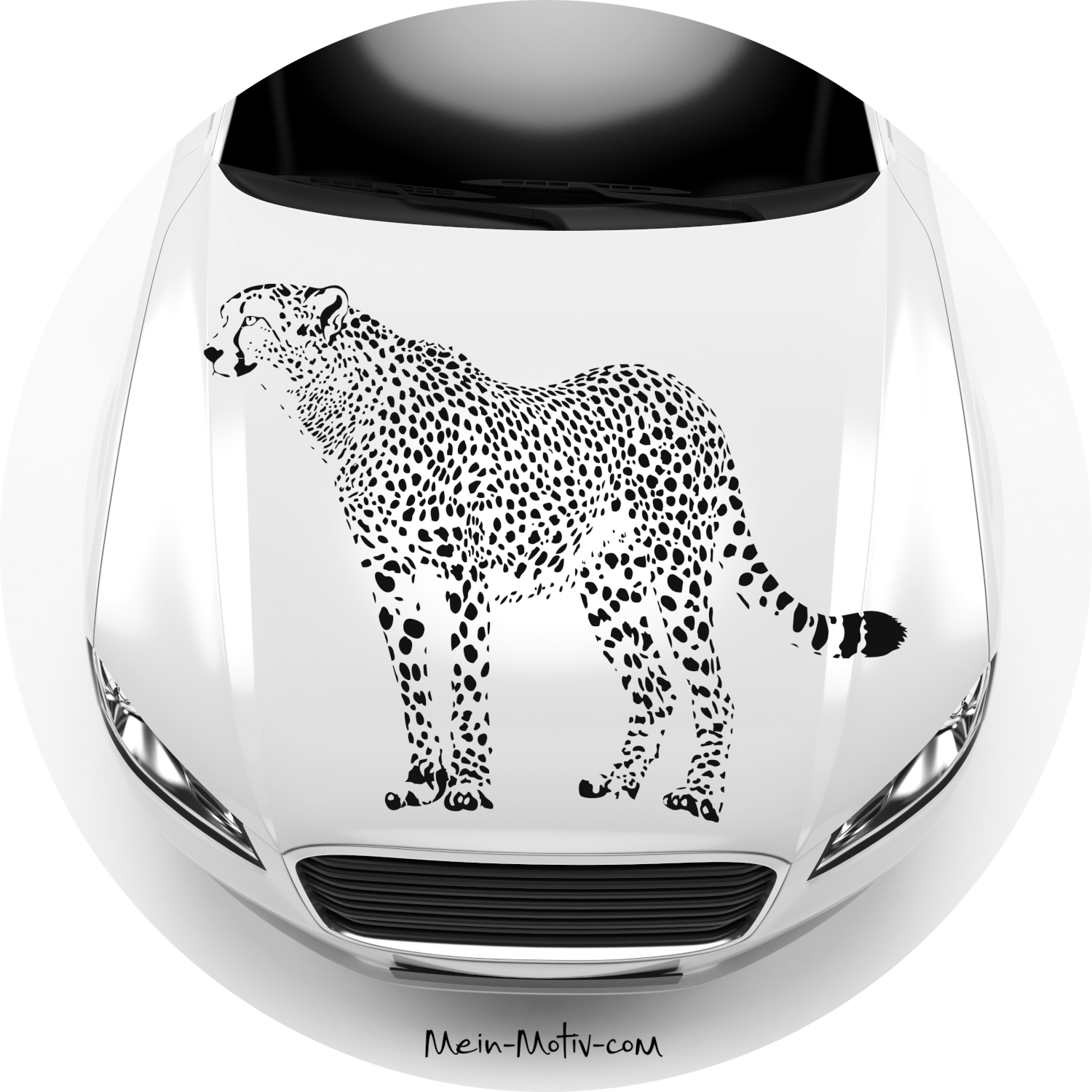 Autoaufkleber Gepard