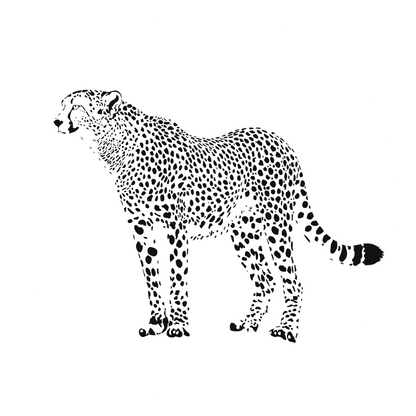 Autoaufkleber Gepard