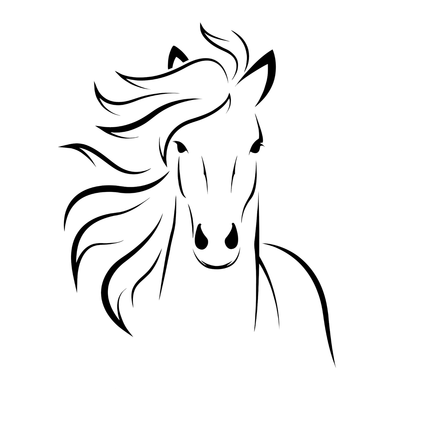 Autoaufkleber Pferd - Horse