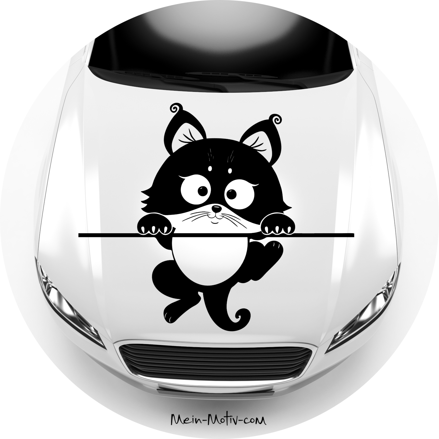 Autoaufkleber Kätzchen Kitten