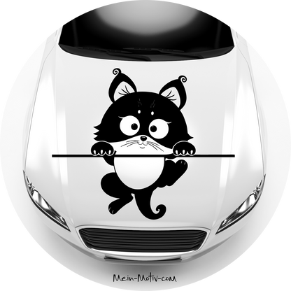 Autoaufkleber Kätzchen Kitten