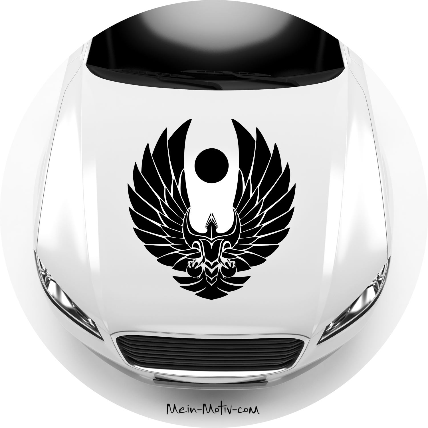Autoaufkleber Star Trek Romulana Logo